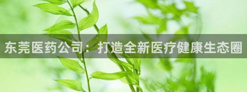 九游会j9官网入口登录新版