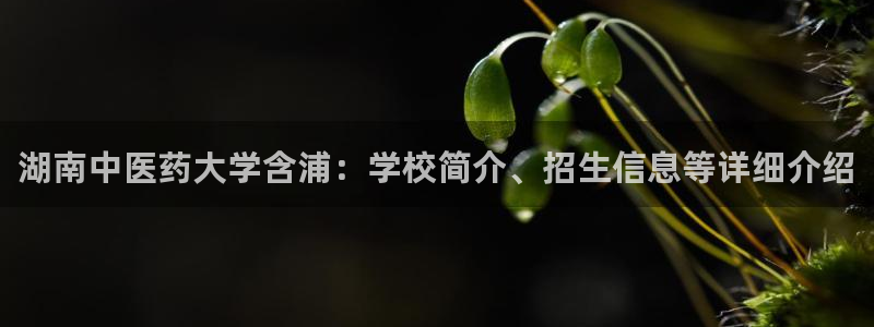 九游会官网下载