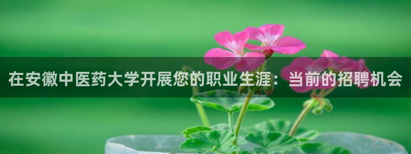 j9九游会官方网站国际