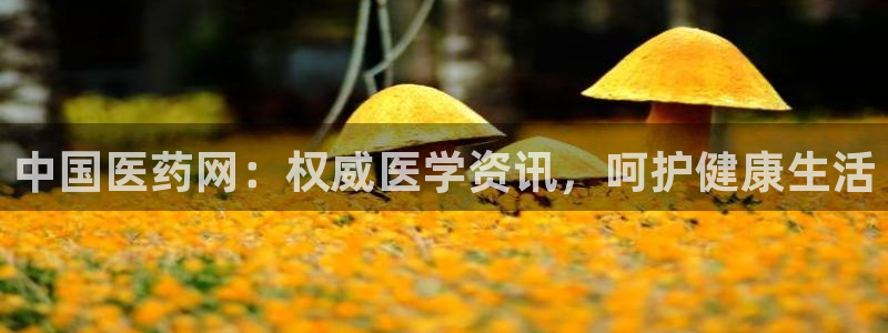 j9p下载