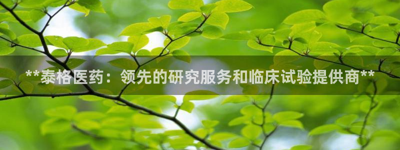 九游会注册网址