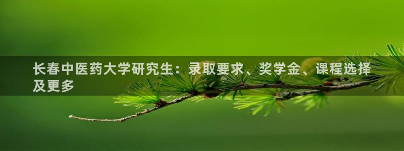 九游会中国j9