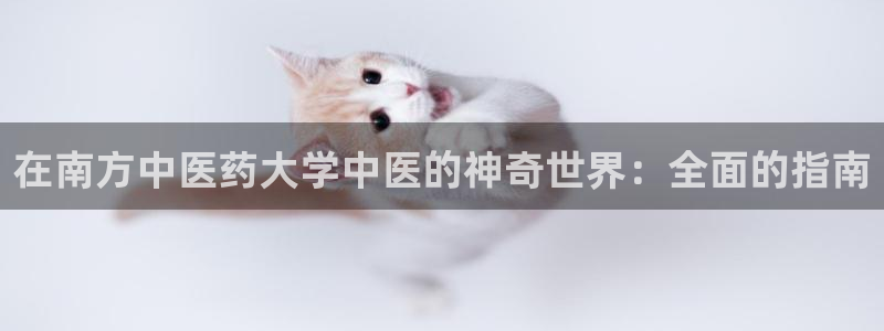 九游会j9