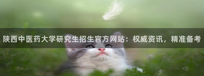 九游会怎么提款