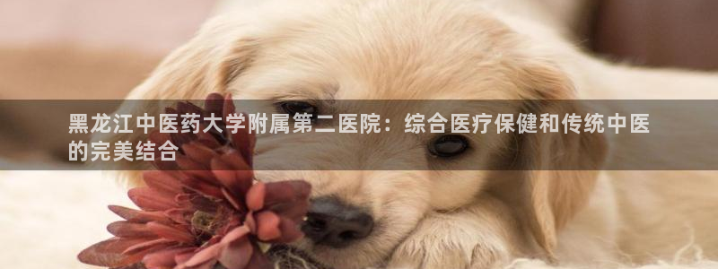 九游会官网真人