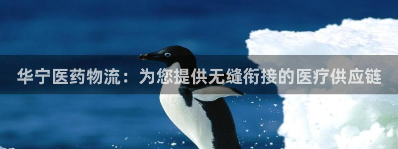 九游会网址大全
