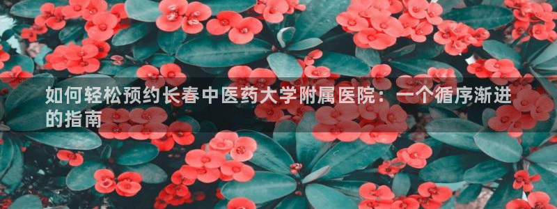 九游会 ag