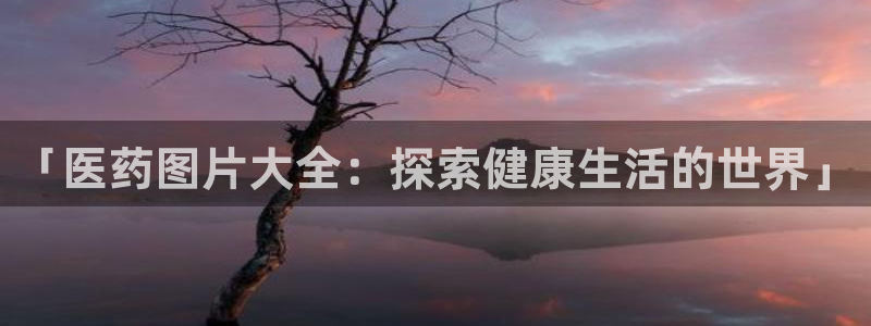 j9游会真人游戏第一品牌