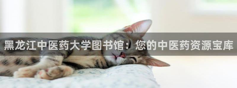 九游会官网入口ag亚洲