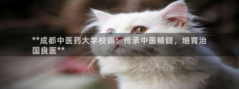 九游会国际厅