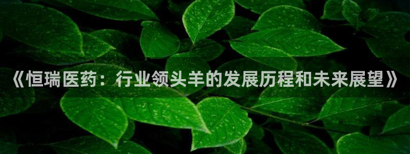 九游会老哥论坛