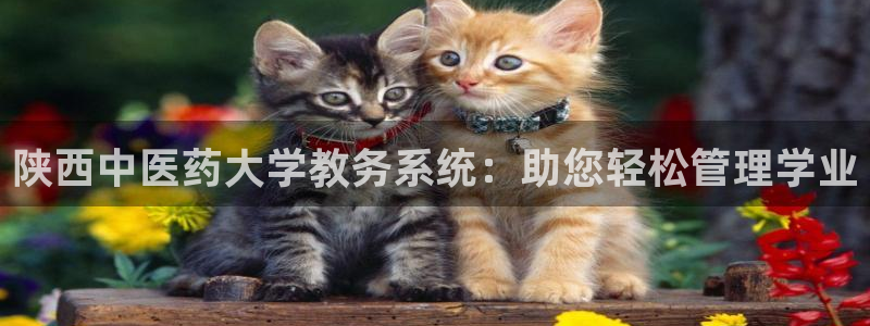 九游会的网址是多少