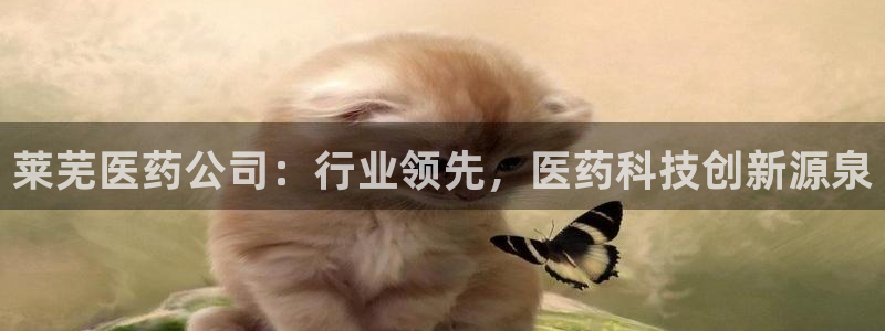 j9九游会安卓版下载