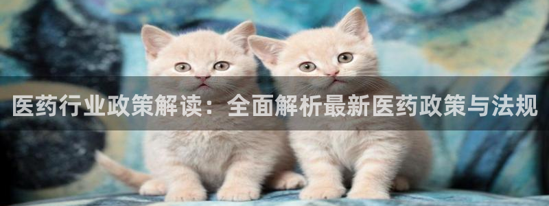 九游会usdt