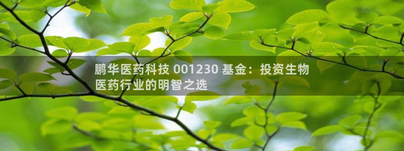 j9九游会跑路了吗