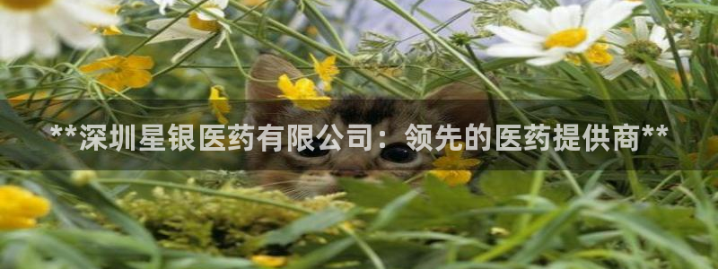 九游会在线登录